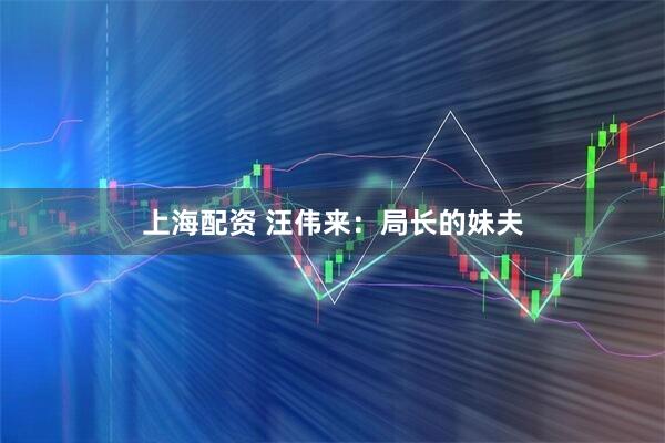 上海配资 汪伟来:局长的妹夫